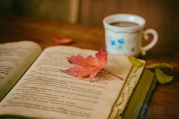 2023朋友圈高冷短句(适合朋友圈的短句高冷)