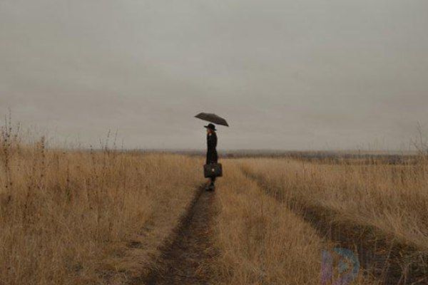 2023漂泊流浪的句子(漂泊流浪的成语)