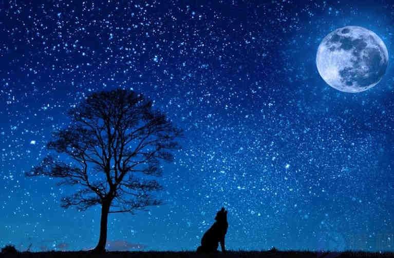 星空朋友圈文案(星空的朋友圈配文)