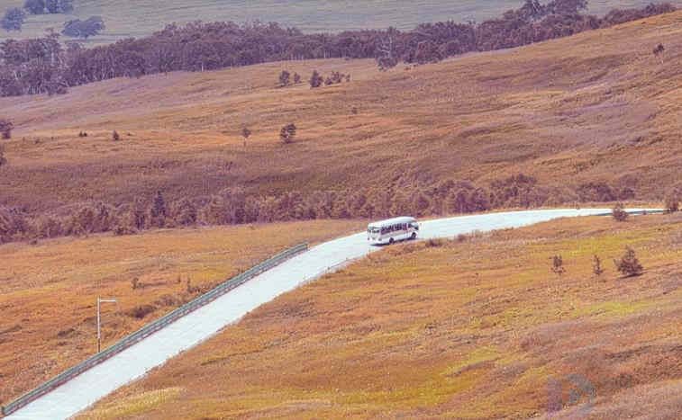 自驾游朋友圈文案(自驾游朋友圈文案高级短句)