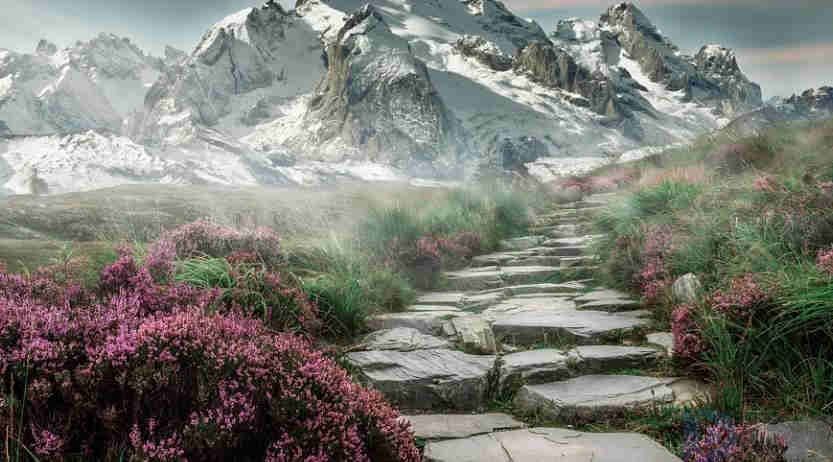 关于雾的唯美文案短句子