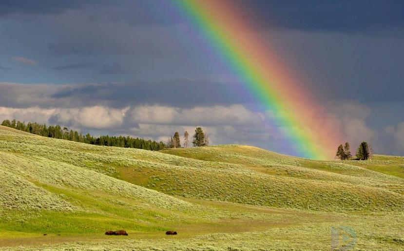 彩虹的朋友圈文案(彩虹朋友圈文案短句干净治愈)