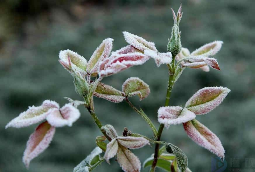 天气变冷的朋友圈文案搞笑