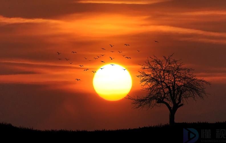 2023干净治愈的夕阳文案(夕阳治愈长文案)