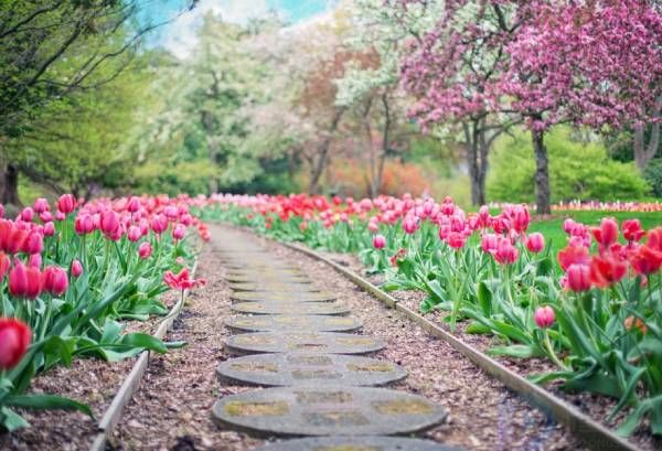 关于风景和人生的文案(关于风景与人生的感悟)