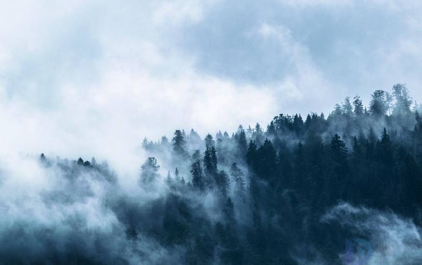 关于雾的唯美文案短句子