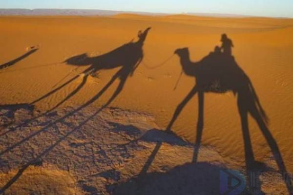 关于影子的说说心情句子