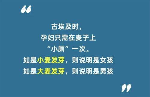 淘宝每日一猜11.17答案