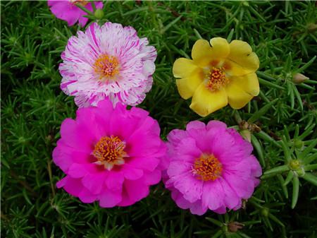 产后几周摸不到宫底