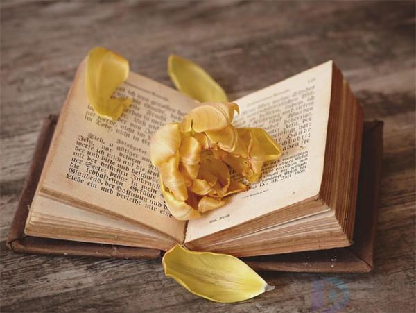 矿泉水广告宣传语