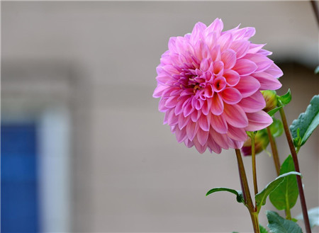 产后几周摸不到宫底