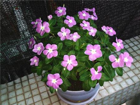 产后几周摸不到宫底