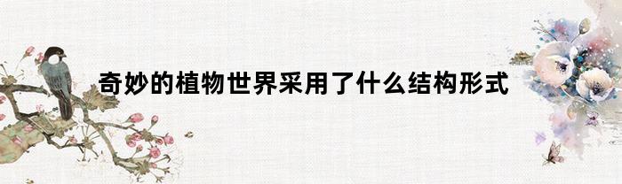奇妙的植物世界采用了什么结构形式(奇妙的植物世界重点介绍了什么的奇妙之处)
