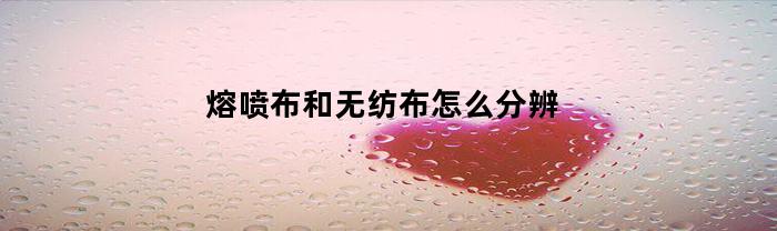 熔喷布和无纺布怎么分辨(熔喷布和无纺布怎么区分)