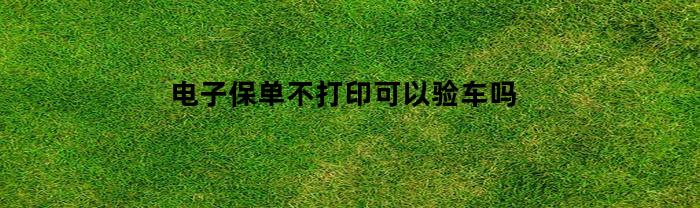 电子保单不打印可以验车吗(检车时电子保单不打印能检车吗)