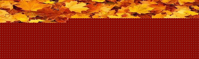 狗狗十大禁忌食物(狗狗十大禁忌食物狗能吃山楂吗?)