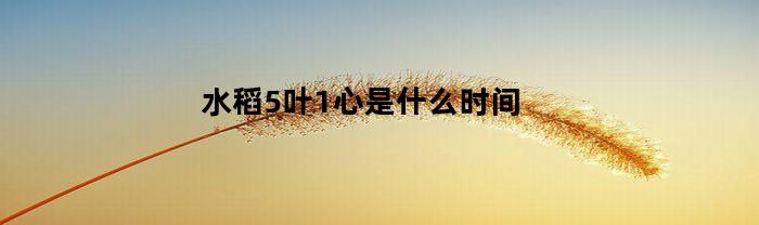 水稻5叶1心是什么时间(水稻五叶一心时间)