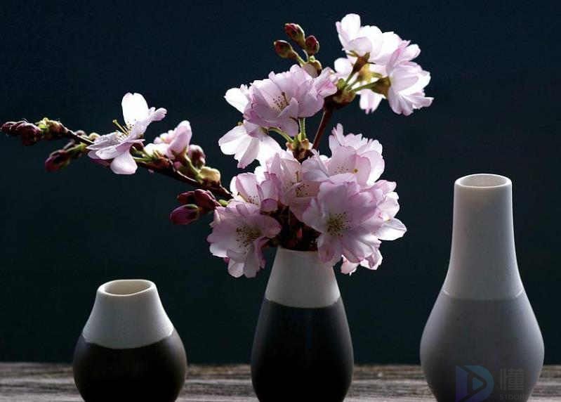 樱花浪漫的文案(樱花文案句子)