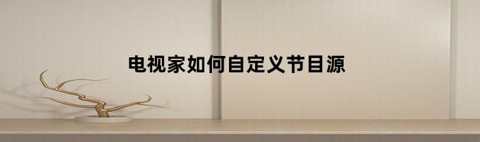 电视家如何自定义节目源(电视家能自己设置频道列表)