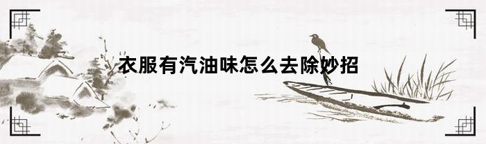 衣服有汽油味怎么去除妙招(衣服有汽油味怎么去除妙招图解)
