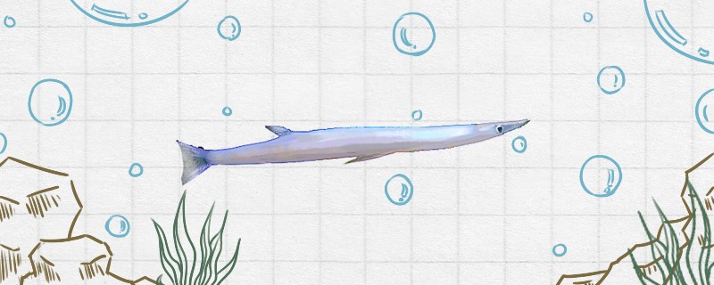 银鱼有刺吗刺多吗(银鱼里面有没有寄生虫)