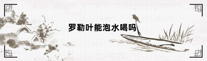 罗勒叶能泡水喝吗(罗勒叶可以怎么吃)