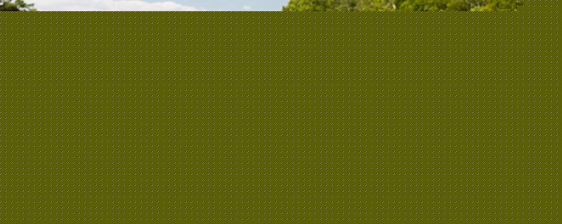 夏季下午钓鱼钓深还是浅最佳时间是什么(夏天下午钓什么点位)