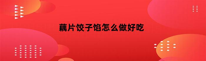 藕片饺子馅怎么做好吃(藕做馅包饺子)