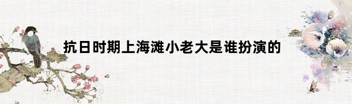 抗日时期上海滩小老大是谁扮演的(上海滩小人物变大佬的电视剧)