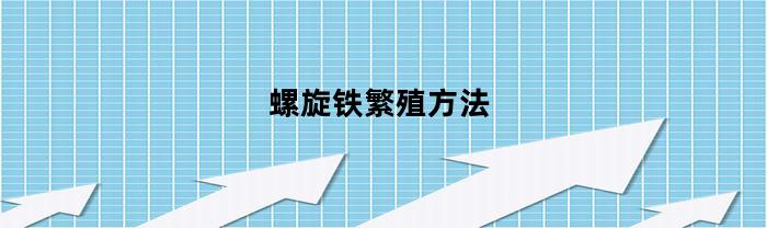 螺旋铁繁殖方法(螺旋铁的扦插方法)