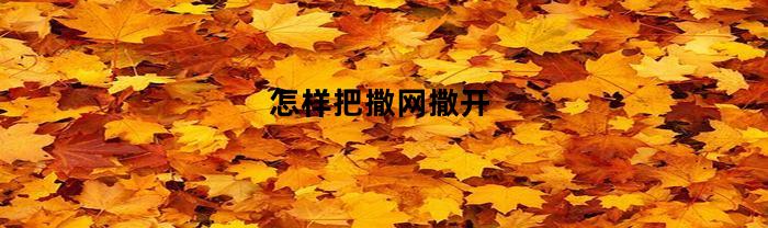 怎样把撒网撒开(撒网怎么使)