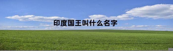 印度国王叫什么名字(印度国王是什么等级)