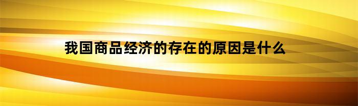 我国商品经济的存在的原因是什么(我国商品经济的存在的原因是什么和什么)
