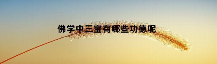 佛学中三宝有哪些功德呢(佛法中的三宝是什么意思)