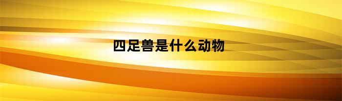 四足兽是什么动物(四足兽意思)