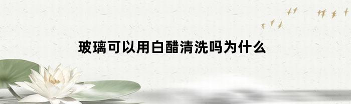 玻璃可以用白醋清洗吗为什么(玻璃能用醋清洗)