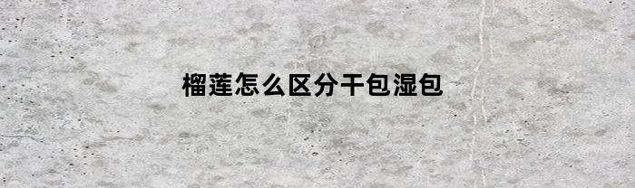 榴莲怎么区分干包湿包(榴莲如何区分干包湿包)
