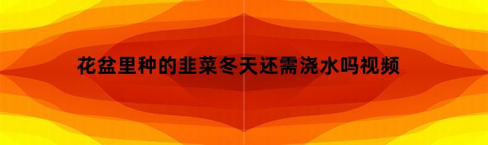 花盆里种的韭菜冬天还需浇水吗视频(花盆里的韭菜冬天怎么办)