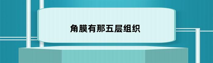 角膜有那五层组织(角膜的五层)