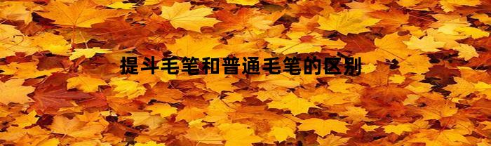 提斗毛笔和普通毛笔的区别(提斗毛笔适合初学者吗)