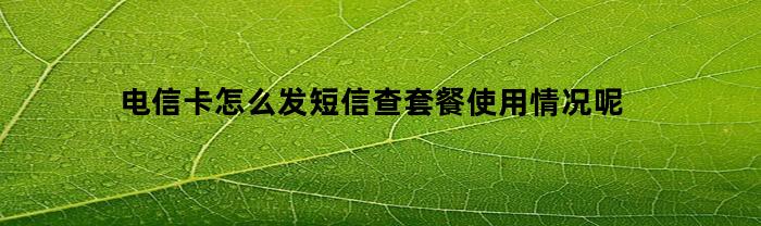 电信卡怎么发短信查套餐使用情况呢(电信号码怎么发短信查套餐使用情况)