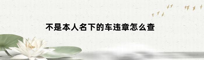不是本人名下的车违章怎么查(不是自己名下的车辆违章查询)