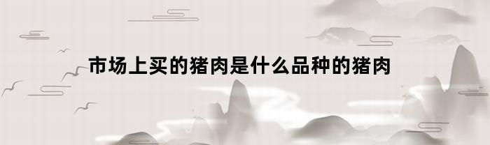 市场上买的猪肉是什么品种的猪肉(市场上买的猪肉是什么品种的猪肉呢)