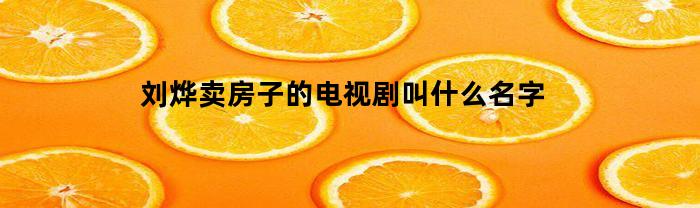 刘烨卖房子的电视剧叫什么名字(刘烨演房产销售)