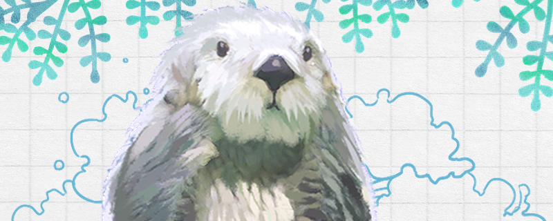 海獭有口袋吗口袋在哪(海懒有口袋)