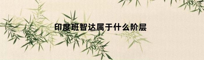 印度班智达属于什么阶层(印度神职班智达)