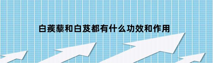 白蒺藜和白芨都有什么功效和作用(白蒺藜和白芨都有什么功效和作用呢)