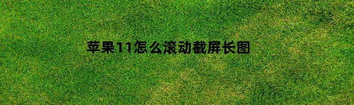 苹果11怎么滚动截屏长图(苹果15如何滚动截屏)