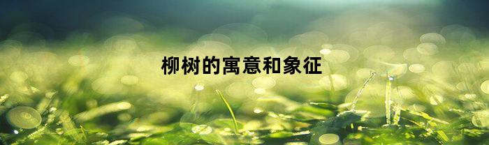 柳树的寓意和象征(古代柳树的寓意和象征)