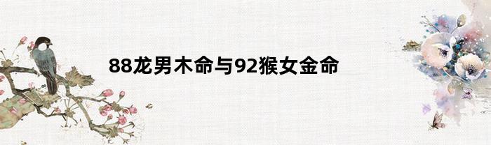 88龙男木命与92猴女金命(88龙男和92女猴的姻缘)